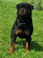 processed/d98618eb-d23e-4c45-9328-82dd4c631b43/facility/9fda4549-0037-42e7-9427-29f9c411c420