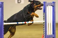 processed/d98618eb-d23e-4c45-9328-82dd4c631b43/facility/aa66dd16-ae9c-4a98-83b5-120e9cacdbd2