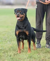 processed/d98618eb-d23e-4c45-9328-82dd4c631b43/facility/b493df2d-76cf-4601-b155-0bf06d472914