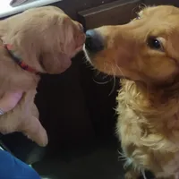 processed/d9952d0f-5592-453e-bc95-0c0a10d663bf/facility/223d26a8-9b2e-4980-a645-636d8af3d22c