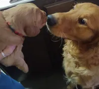 processed/d9952d0f-5592-453e-bc95-0c0a10d663bf/facility/223d26a8-9b2e-4980-a645-636d8af3d22c