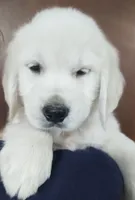 processed/d9952d0f-5592-453e-bc95-0c0a10d663bf/facility/43075376-e239-4983-bae4-551a4d179aca