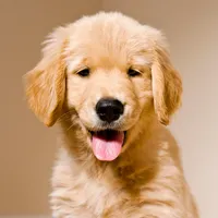 processed/d9952d0f-5592-453e-bc95-0c0a10d663bf/facility/5870b160-bbe9-4dea-8a5c-c7fbae72a271