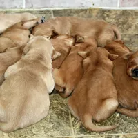 processed/d9952d0f-5592-453e-bc95-0c0a10d663bf/facility/6057866b-b73e-41d4-ae79-b64c40e69c4b