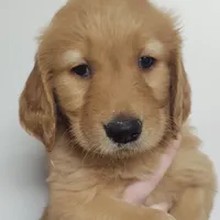 processed/d9952d0f-5592-453e-bc95-0c0a10d663bf/facility/684ff5b0-6db7-4eb8-adc2-ea33722c2837