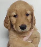 processed/d9952d0f-5592-453e-bc95-0c0a10d663bf/facility/684ff5b0-6db7-4eb8-adc2-ea33722c2837