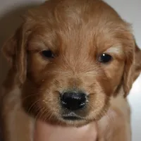 processed/d9952d0f-5592-453e-bc95-0c0a10d663bf/facility/b25b8f5d-c4a2-4950-bf58-c616573ac1f2