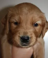 processed/d9952d0f-5592-453e-bc95-0c0a10d663bf/facility/b25b8f5d-c4a2-4950-bf58-c616573ac1f2