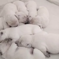 processed/d9952d0f-5592-453e-bc95-0c0a10d663bf/facility/f4bba698-8c50-49af-bf53-26228a7d1c47