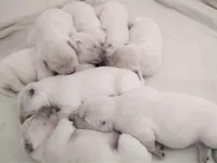 processed/d9952d0f-5592-453e-bc95-0c0a10d663bf/facility/f4bba698-8c50-49af-bf53-26228a7d1c47