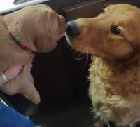 processed/d9952d0f-5592-453e-bc95-0c0a10d663bf/listing/bba84625-72b6-4fb3-ab1a-c35f98b4aca0/82a60fd6-c8bd-4112-8cae-635a02189821