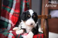 processed/d9b1b271-0619-446f-a421-3f2415924ea1/listing/231cbc7f-4510-4da1-aa9c-395ba9432796/06127c03-a72a-420c-a2ff-c81e24ce2717