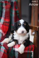 processed/d9b1b271-0619-446f-a421-3f2415924ea1/listing/231cbc7f-4510-4da1-aa9c-395ba9432796/f7b43255-2e82-4081-8306-3a24f05d8297