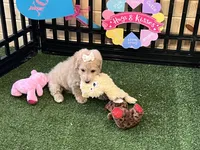 processed/d9b8e6e4-6499-4c40-9806-434735e2dfd2/listing/d27ed794-6cb4-4595-8442-f3803412614e/8c77cb77-3b52-4f25-9bbe-6a9ad7ce4e2e