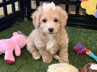 processed/d9b8e6e4-6499-4c40-9806-434735e2dfd2/listing/d27ed794-6cb4-4595-8442-f3803412614e/926eab8f-cc7d-4abf-bb96-82bacfeaa5c0