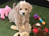 processed/d9b8e6e4-6499-4c40-9806-434735e2dfd2/listing/d27ed794-6cb4-4595-8442-f3803412614e/ac335987-9ee8-458f-acb7-fbfb7b3d3c18