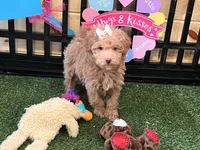 processed/d9b8e6e4-6499-4c40-9806-434735e2dfd2/listing/f3773018-35e5-42d9-9191-1218f36275b3/c1266fec-91e4-47ab-89bb-6df80819b396