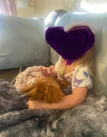 Ari, a female Cavapoo for sale in Olympia, WA – Photo 7 of 10