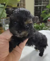 processed/d9cf4810-070f-4350-85d9-08291df97586/listing/0ae0271e-23f2-4c8a-a65f-e40e8e765337/e629fe54-4aa9-4211-9a2e-194eb053ecbc