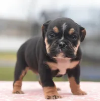 processed/d9cf4810-070f-4350-85d9-08291df97586/listing/4c878488-604b-4474-9568-f8b63e0c9f50/0d6f713e-6f1d-483e-86c7-78edcdc64ec4