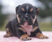 processed/d9cf4810-070f-4350-85d9-08291df97586/listing/4c878488-604b-4474-9568-f8b63e0c9f50/9d164e88-939d-4701-96ea-4f572c213733