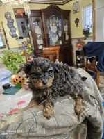 processed/d9cf4810-070f-4350-85d9-08291df97586/listing/6d35741f-ce7b-4891-90ce-791435fef046/a5769f23-307e-4648-832f-2530cd0bfa32