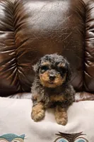 processed/d9cf4810-070f-4350-85d9-08291df97586/listing/6d35741f-ce7b-4891-90ce-791435fef046/a91e20b2-b8b1-4593-8a36-329023b40b10