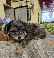 processed/d9cf4810-070f-4350-85d9-08291df97586/listing/6d35741f-ce7b-4891-90ce-791435fef046/b63660b1-93cc-4a0a-82f5-d9d14e616455