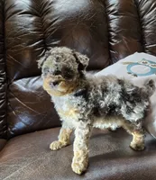 processed/d9cf4810-070f-4350-85d9-08291df97586/listing/977c7970-f3dd-4bc8-ab35-403fd9eeb958/0b111fe8-4f89-4471-ade7-c8da980c3b97