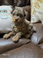 processed/d9cf4810-070f-4350-85d9-08291df97586/listing/977c7970-f3dd-4bc8-ab35-403fd9eeb958/a93454f1-e642-4224-b6bb-30b2a28c64f9