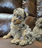 processed/d9cf4810-070f-4350-85d9-08291df97586/listing/977c7970-f3dd-4bc8-ab35-403fd9eeb958/e64d135e-e115-4242-8c80-adda4447d9ff