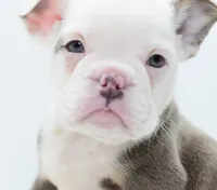 processed/d9cf4810-070f-4350-85d9-08291df97586/listing/9e4bb053-b8be-4b4c-90ca-f80122520ddb/292fbd19-2885-4c87-9d21-9c1a394d93d2