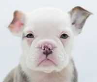 processed/d9cf4810-070f-4350-85d9-08291df97586/listing/9e4bb053-b8be-4b4c-90ca-f80122520ddb/933eb4ba-f8a0-40c5-8518-04db5c67c1ec