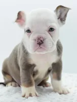 processed/d9cf4810-070f-4350-85d9-08291df97586/listing/9e4bb053-b8be-4b4c-90ca-f80122520ddb/e0efe6bb-eb3b-44b6-a287-dc401392807d