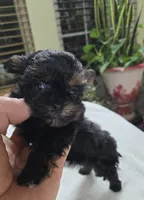 processed/d9cf4810-070f-4350-85d9-08291df97586/listing/db855fe0-2be2-47bd-b8cd-e33091ccaf06/39f373b9-5dd4-44ee-8a56-049246bdc223