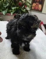 processed/d9cf4810-070f-4350-85d9-08291df97586/listing/db855fe0-2be2-47bd-b8cd-e33091ccaf06/89eea2ef-0507-416c-b0bf-ec23ad3fc0cf