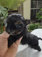 processed/d9cf4810-070f-4350-85d9-08291df97586/listing/db855fe0-2be2-47bd-b8cd-e33091ccaf06/93e0da07-b4ea-4176-a24d-e0df34f8d667