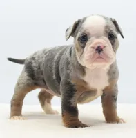 processed/d9cf4810-070f-4350-85d9-08291df97586/listing/fab7008f-a390-4cab-8507-3f2781ca5859/974a0599-17f4-47e3-b40d-a65c219c021b