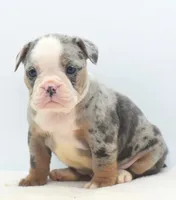 processed/d9cf4810-070f-4350-85d9-08291df97586/listing/fab7008f-a390-4cab-8507-3f2781ca5859/c54386a7-2ec6-474b-9f2c-74bb27c6ad35