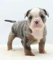 processed/d9cf4810-070f-4350-85d9-08291df97586/listing/fab7008f-a390-4cab-8507-3f2781ca5859/d80b5cc6-d989-45d4-b602-ffafd57a4e46