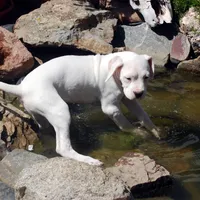 processed/d9d40929-6ae6-4b78-adb4-745a586c42eb/facility/31604e77-0acb-40c9-ba97-3653be7741ca