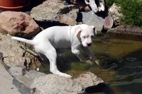 processed/d9d40929-6ae6-4b78-adb4-745a586c42eb/facility/31604e77-0acb-40c9-ba97-3653be7741ca