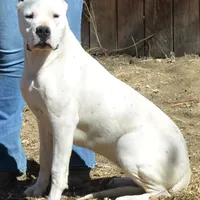 processed/d9d40929-6ae6-4b78-adb4-745a586c42eb/facility/585a9fa4-9a92-4935-8ea9-bc20b336c267