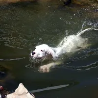 processed/d9d40929-6ae6-4b78-adb4-745a586c42eb/facility/7ba61e44-020d-4329-babd-e0dc2200aac0