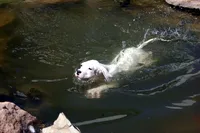 processed/d9d40929-6ae6-4b78-adb4-745a586c42eb/facility/7ba61e44-020d-4329-babd-e0dc2200aac0