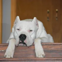 processed/d9d40929-6ae6-4b78-adb4-745a586c42eb/facility/8084ab3a-4a93-41a5-9af5-f1281e107b05