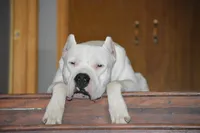 processed/d9d40929-6ae6-4b78-adb4-745a586c42eb/facility/8084ab3a-4a93-41a5-9af5-f1281e107b05