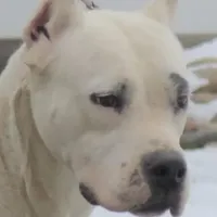 processed/d9d40929-6ae6-4b78-adb4-745a586c42eb/facility/8b271515-7a0d-498d-8f79-a110abf90dd6