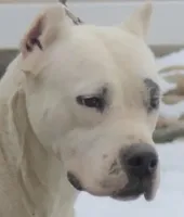 processed/d9d40929-6ae6-4b78-adb4-745a586c42eb/facility/8b271515-7a0d-498d-8f79-a110abf90dd6