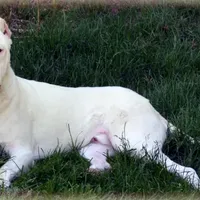 processed/d9d40929-6ae6-4b78-adb4-745a586c42eb/facility/cabf9c29-c6b0-4fd5-953a-59949eeec35e